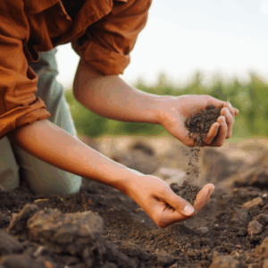 hands holding dirt